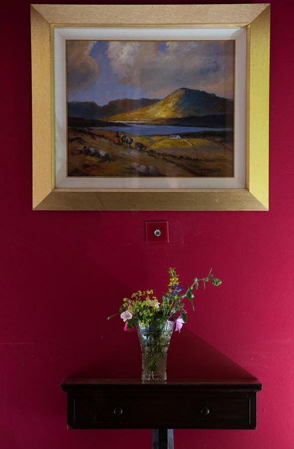 Ross Castle B&B Oldcastle Esterno foto